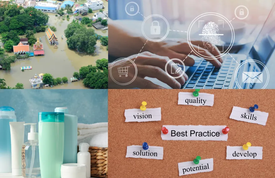 paprsky-organisation